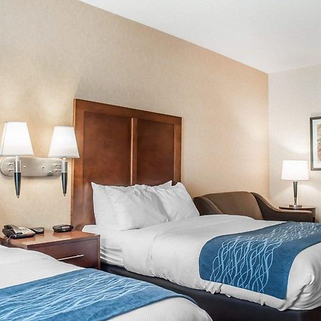 Comfort Inn & Suites Hamburg Bagian luar foto
